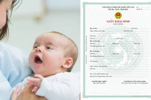 XÉT NGHIỆM ADN LÀM KHAI SINH
